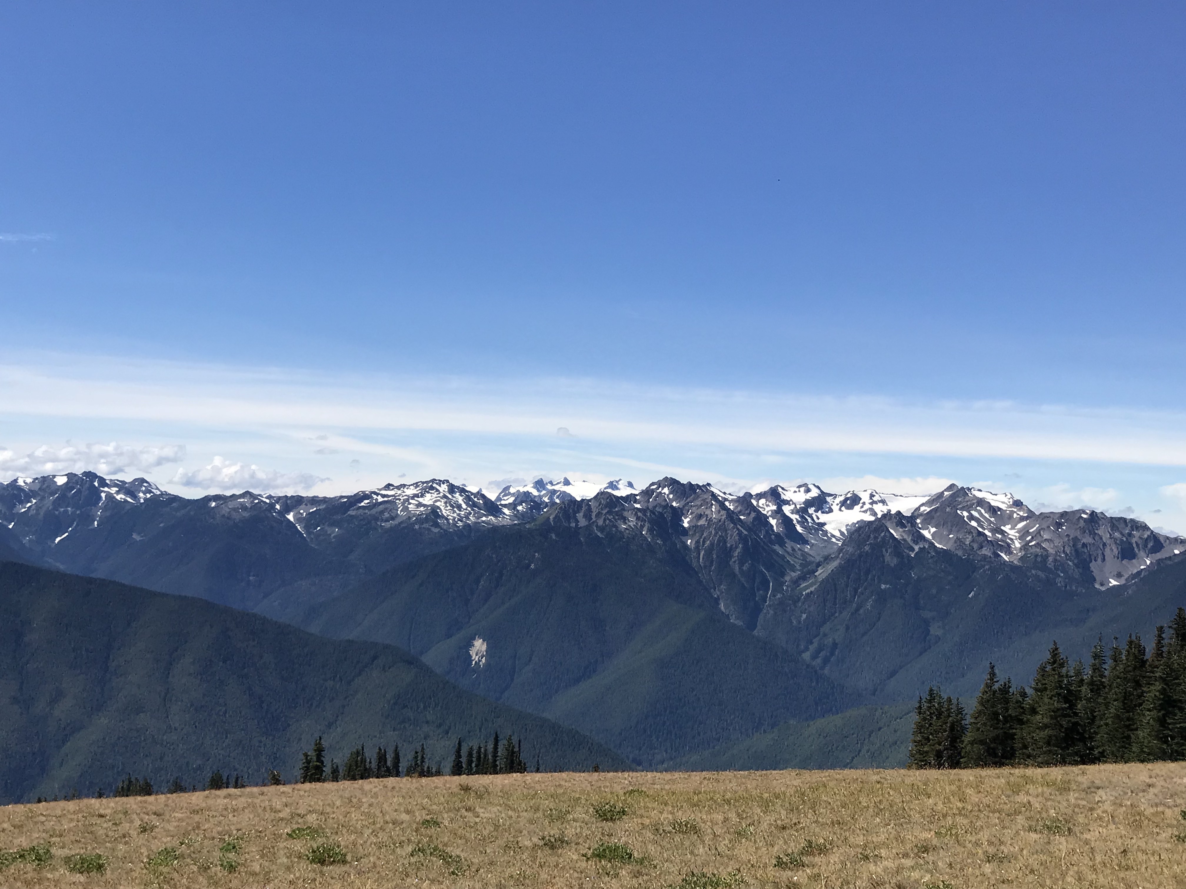View of Olympic Mountains